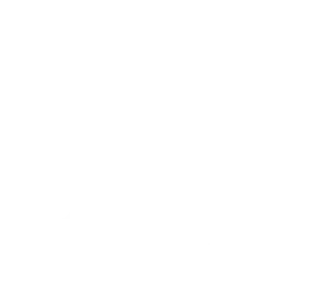 Borges Capital